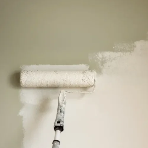 Home Interior Painting